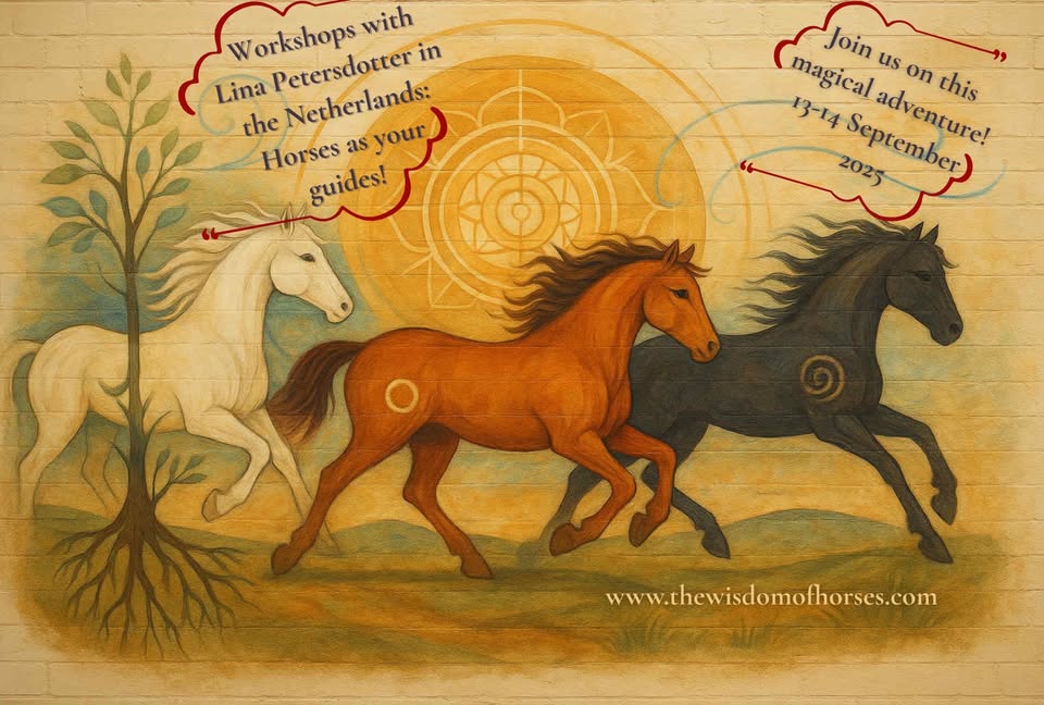 horses as spiritual guides horses as spiritual guides
